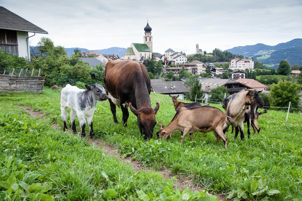 Merlhof Fiè Exteriér fotografie
